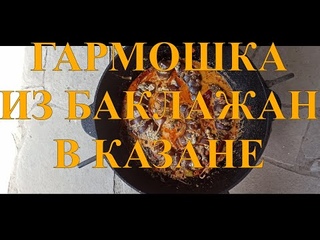 БАКЛАЖАНЫ ГАРМОШКА ФАРШИРОВАННЫЕ БАКЛАЖАНЫ В КАЗАНЕ