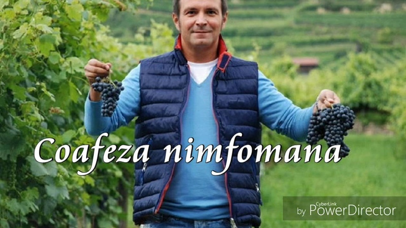 Daniel Buzdugan Farsă Coafeză