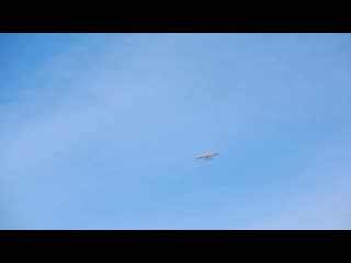 15 03 14 Helicopter flights on the runway Garden 28