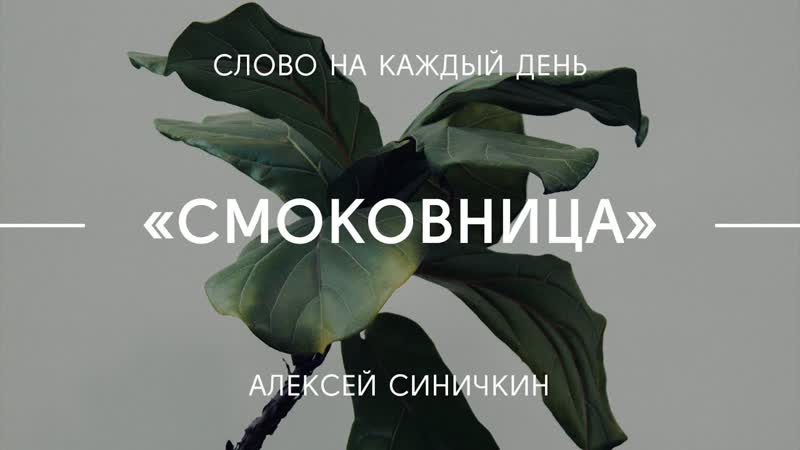 Смоковница, Алексей