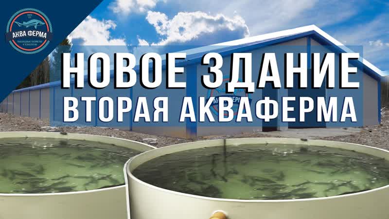 Наше новое здание Вторая