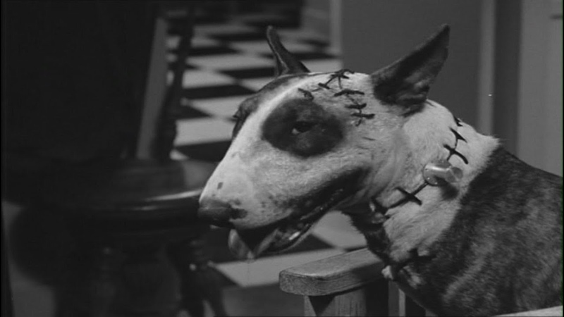 Франкенвини, Frankenweenie