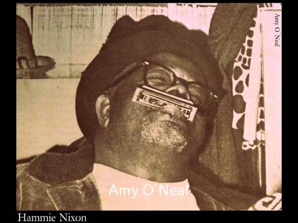 Solo Blues Harmonica Player 20 Hammie Nixon Viola Lee