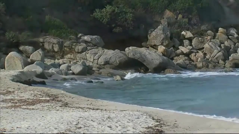 Очарование Сборник Красивой Музыки Charm Collection of Beautiful