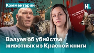 Единоросс Валуев об охоте на краснокнижных животных