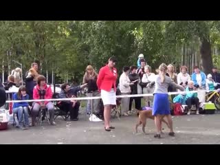 00032 Екатеринбург .Мой чемпион. .