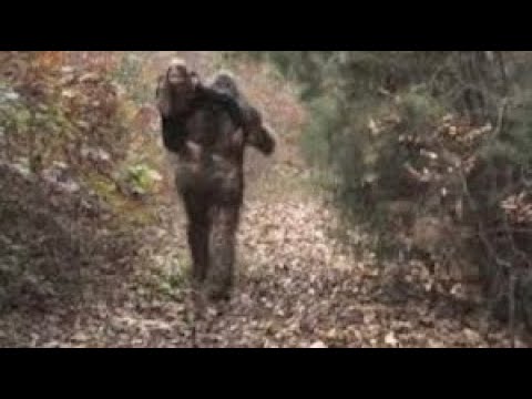 A Recording, New Photos And A Wild Story ( Full video this
