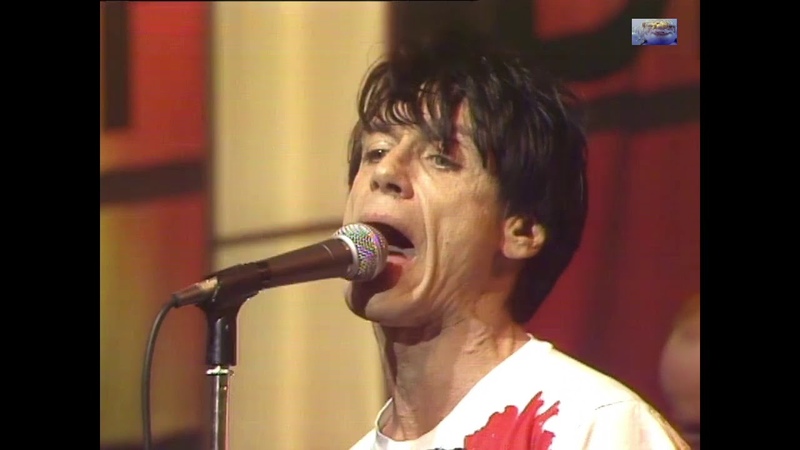 Iggy Pop Real Wild Child ( Wild One) ( Live