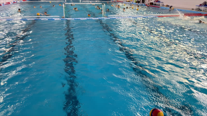 Live: Galeon. Water polo and swim