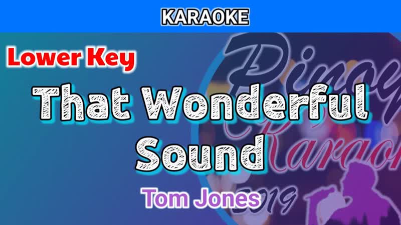 That Wonderful Sound by Tom Jomes ( Karaoke : Lower