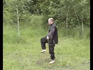 Цигун, Khí công, Qi Gong, Kung Fu, Việt-vo-dao
