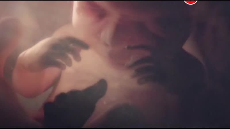 BBC Девять месяцев, которые создают нас 3