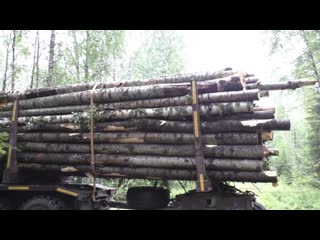Дрова в России 1500 р. за лесовоз. Не МОЖЕТ БЫТЬ!