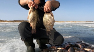 Эта МОРДА показалась из лунки, и мы чуть с ума не сошли...Просто ПАЛЬЦЕМ забагрили!