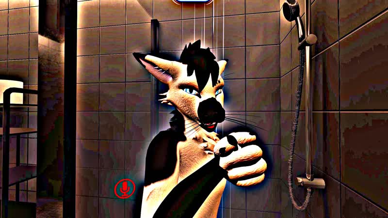 Wet
