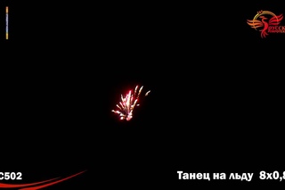 PC 502 Танец на льду