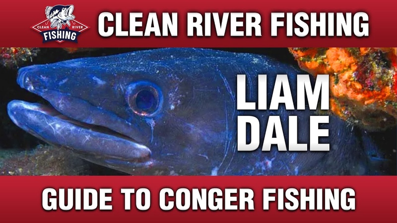 CONGER FISHING GUIDE LIAM DALE ( BBCs The Big