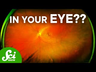 Retinal Scanning is Changing Healthcare