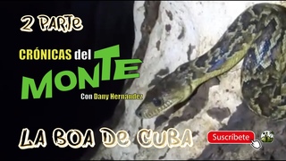 CRONICAS DEL MONTE | LA BOA DE CUBA | CAP 2
