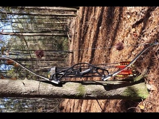 $100 Recurve Bow (Better then Expected!)