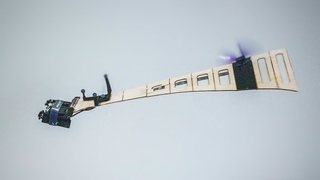 The First Foldable Single-Actuator Rotary Wing MAV
