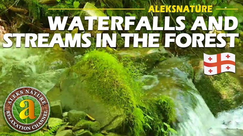 Waterfalls and Streams in the Mountain Forest, Refreshing