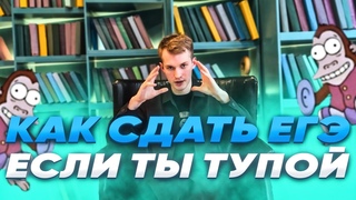 Как сдать ЕГЭ, если ты ТУПОЙ