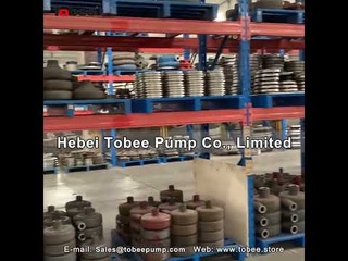 China Tobee Centrifugal Slurry Pump Stock Spares