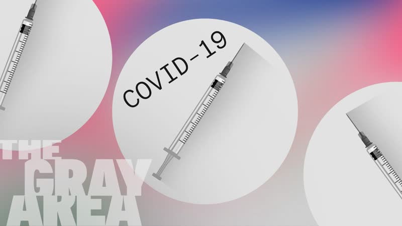 How experts got Covid wrong, The Gray
