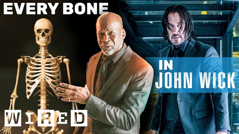 Every Bone in the Human Body and How they Break ( Explained Using John Wick),