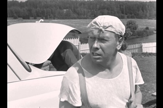 С жульем, допустим, надо бороться!  Берегись автомобиля 1966 г.