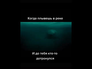Было такое !!  #ВИДОСЫFisherManNIZHNEVARTOVSK#рыбалка