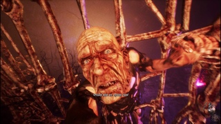 Agony первый пробег