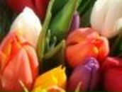 Маргарита Кузнецова | Архангельск