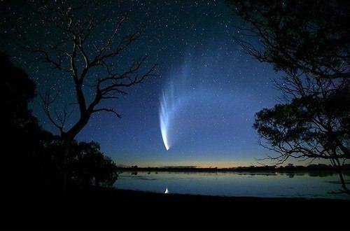 Таня Ясинская | Дунаевцы