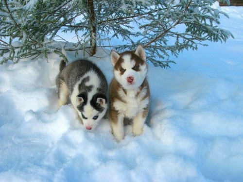 №10, Ирина Медведева, Санкт-Петербург, Россия №10, Ирина Медведева, Санкт-Петербург, Россия