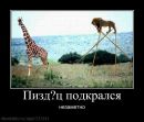 Фотография Dddd Qqqq