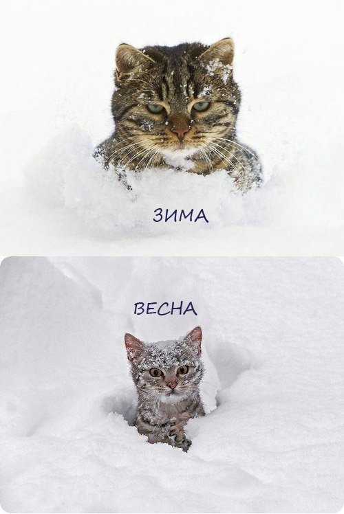 Наталия Граковская | 