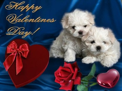 Алёна Анюрова | Москва