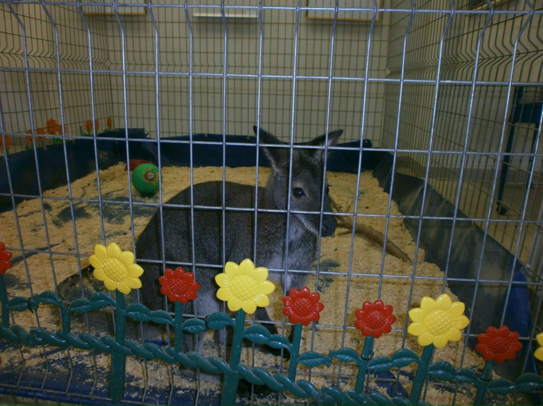 Елена Назарова | Псков