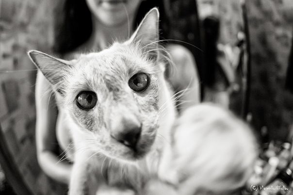 №189, Татьяна Меркулова, Тула №189, Татьяна Меркулова, Тула