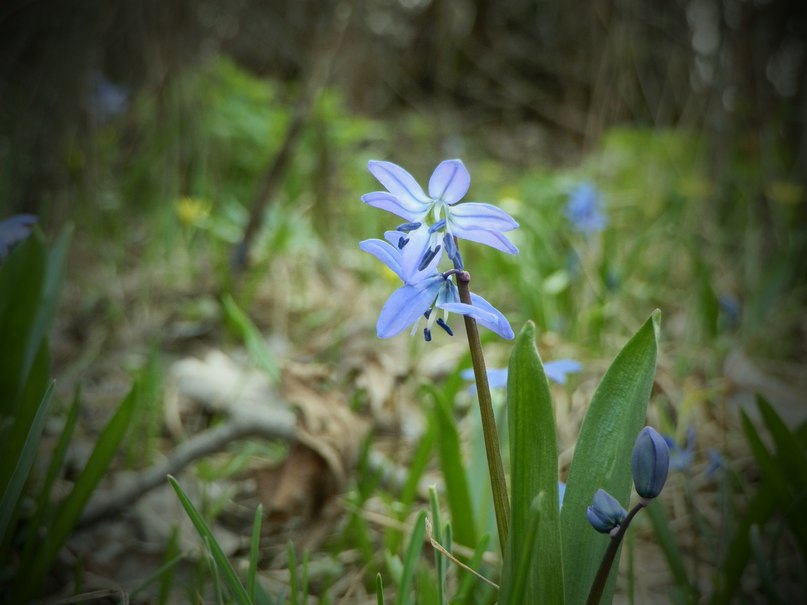 Вера Туркина | Южноукраинск