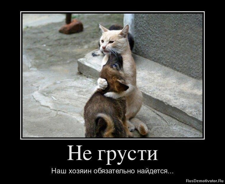 Valera Lee | Санкт-Петербург