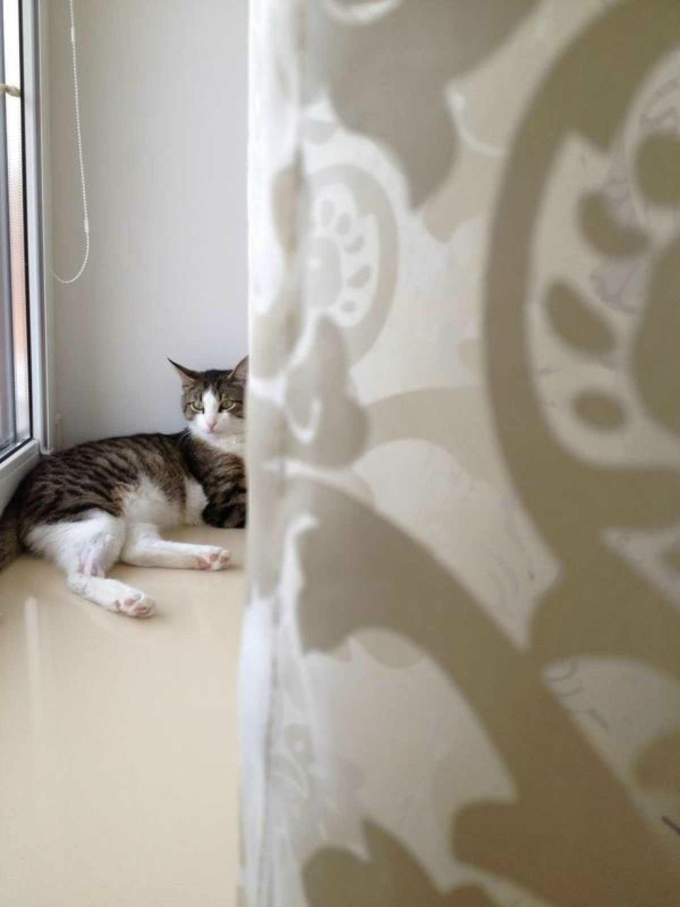 Макс Осинин | Москва