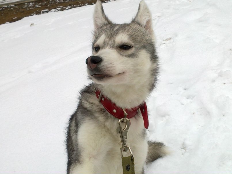 Анна Морозова | Москва