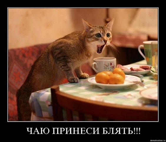 №188, Екатерина Морозова, Харьков №188, Екатерина Морозова, Харьков