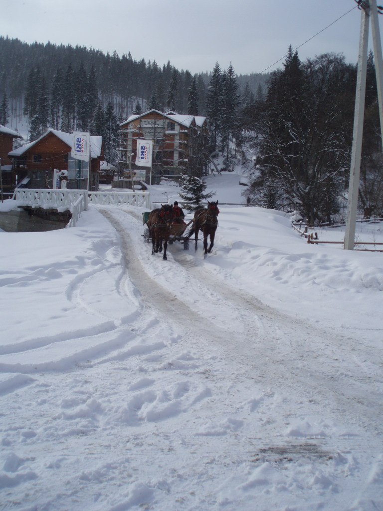 Ляна Коструба | Киев