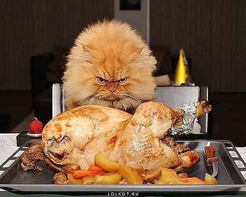 Владислав Кошенок | 