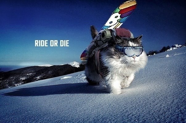 Denis Pirskiy ™ | Москва