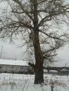 Фотография Евгения Шадрина